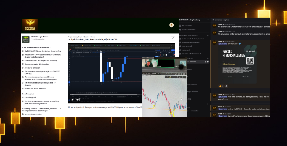Aperçu de la formation CAPFREE